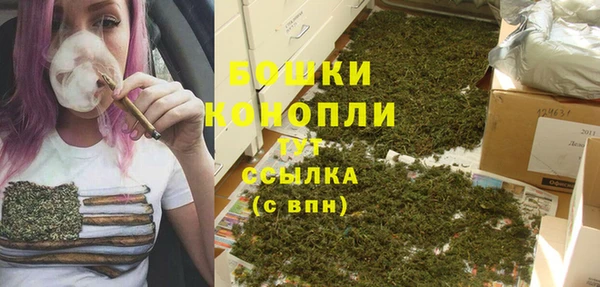 стафф Ладушкин