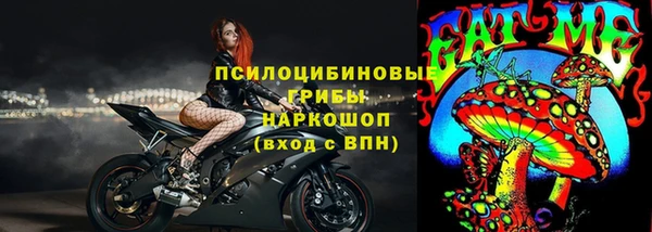 прущий лед Лагань