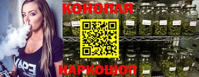 мдпв Гусев
