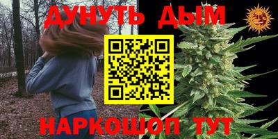 мдпв Гусев