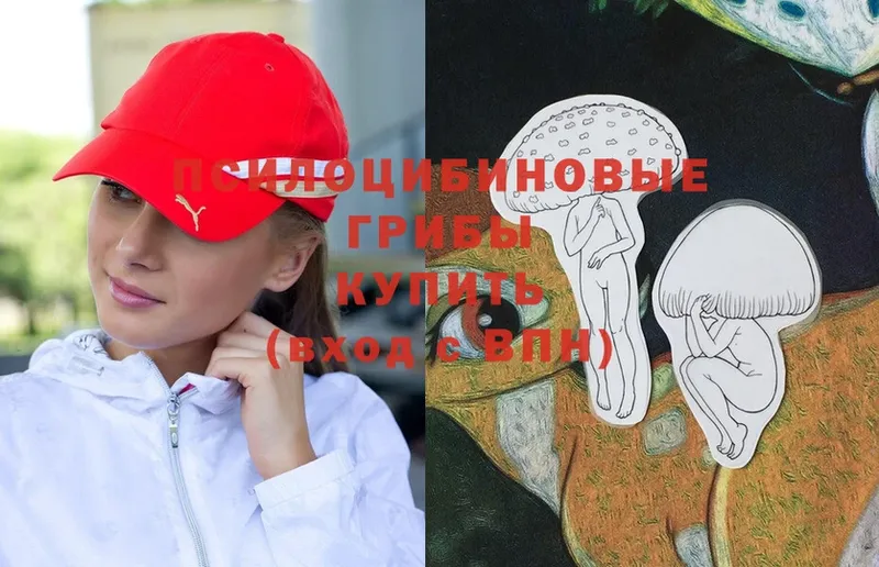 Галлюциногенные грибы Cubensis  Ковров 