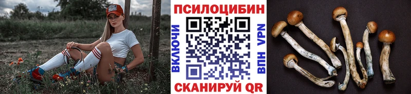 Псилоцибиновые грибы ЛСД  магазин продажи   Ковров 